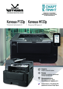Катюша_PM133p